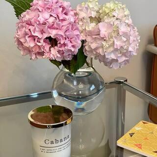 דירות Pittsford Garden Retreat מראה חיצוני תמונה