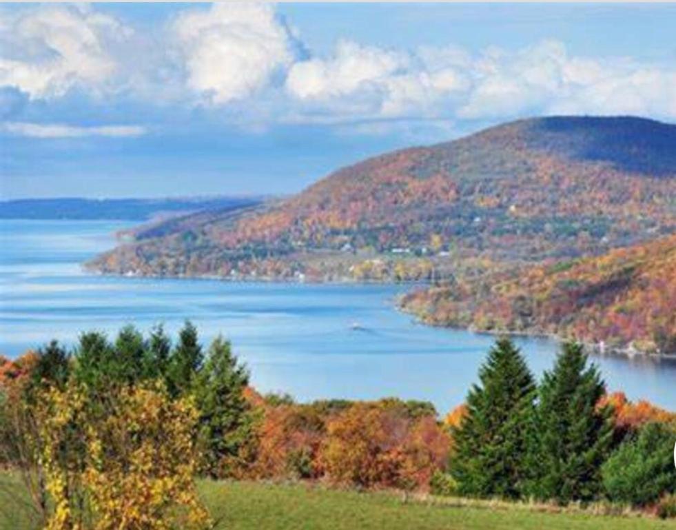 דירות Pittsford Garden Retreat מראה חיצוני תמונה